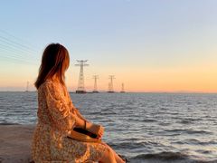 -宝安西湾红树林湿地公园