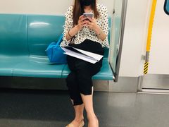 -动物园(地铁站)