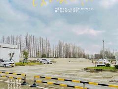 -光明驾校·学车·陪驾(川沙店)