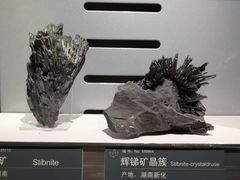 -中国地质博物馆