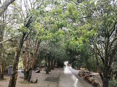 -井冈山风景名胜区