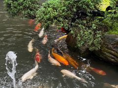 -聚福宝合苑食府(南头镇店)