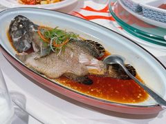 清蒸石斑鱼-羲和雅苑•北京烤鸭(陆家嘴中心店)