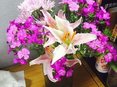 -Flower in(密渡桥店)
