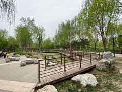 -东升文体公园
