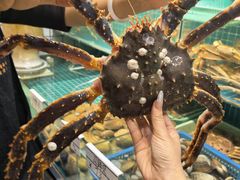 -震海贝烤贝·民俗特色店(延吉总店)