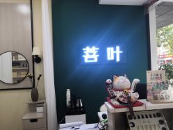 -菩叶脱发白发中心