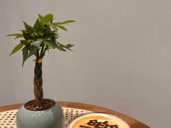 -乔曰Qiao Yue·茶咖局