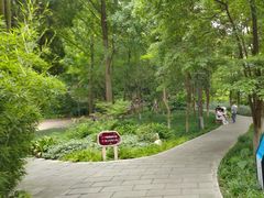 -成都市活水公园