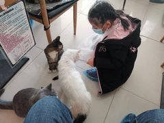 -平行世界·猫咖(首经贸店)