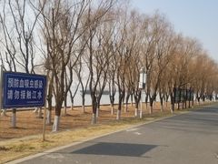 -扬子江公园