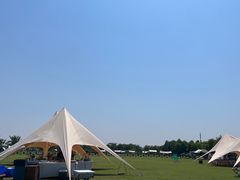 -春花秋色城市公园