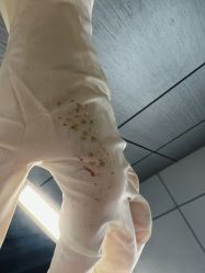 -元熙兰积皮肤管理