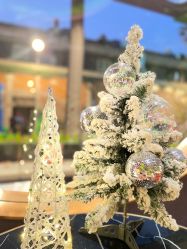 -花隐·美芙炫海菲秀皮肤管理中心