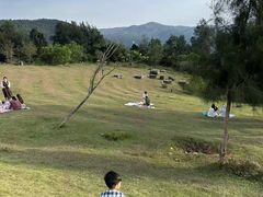 -大姆山草场