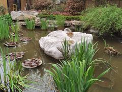 -聚缘堂·海鲜私房菜(松岭路店)