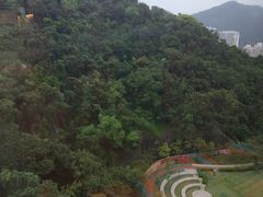 -香港大学