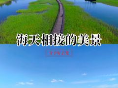 -苏州太湖湖滨国家湿地公园