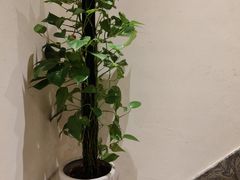 -麦子MaiMassage(打浦桥店)