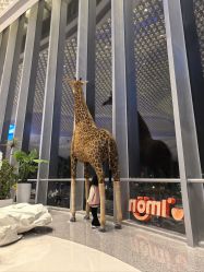 -IMON·HANSA潮玩玩偶毛绒玩具(通州万象汇店)