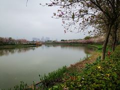 -海珠湖公园
