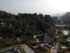 android_upload_pic-罗浮山嘉宝田森林温泉度假酒店