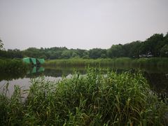 -西湖风景区-江洋畈生态公园