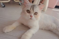 -Beauty Nails 美甲美睫皮肤管理