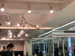 -潘多拉Hairsalon