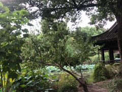 -绍兴鲁迅故里·沈园景区