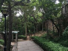 -观象山公园