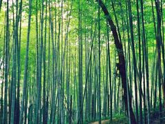 -兰亭风景区