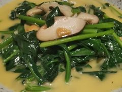 奶油菠菜-穹六人间 people 6(岳阳路店)