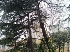 -西安市长乐公园