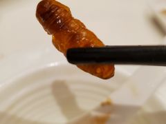 -侨美·唐荔园·40年地道粤菜