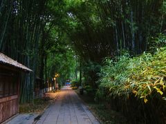 -望江楼公园