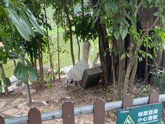 -深圳野生动物园
