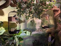 -zoonana室内动物园(东方福来德店)