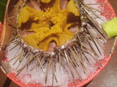 -千代武日本料理(哈西店)