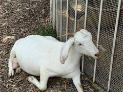 -福建鲤鱼洲酒店