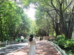 -南宁南湖公园