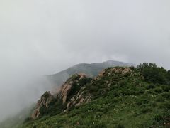 -白草畔自然风景区