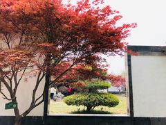 -洛阳市隋唐城遗址植物园