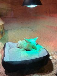 -酷嗒动物文化乐园(cutezoo西溪乐天城店)