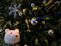 -上海外滩英迪格酒店