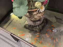 -单家老院·院子里的青岛菜(沙子口店)