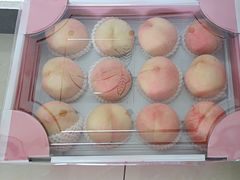 -南汇新场正宗水蜜桃采摘