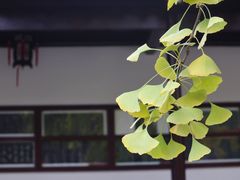 -苏州文庙(姑苏区)