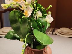 -白沙驿小院(番禺亚运城店)