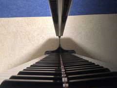 -弘智卉艺术教育/高端琴房(中央音乐学院店)